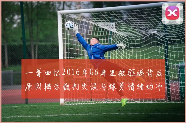 一哥回忆2016年G6库里被驱逐背后原因揭示裁判失误与球员情绪的冲突